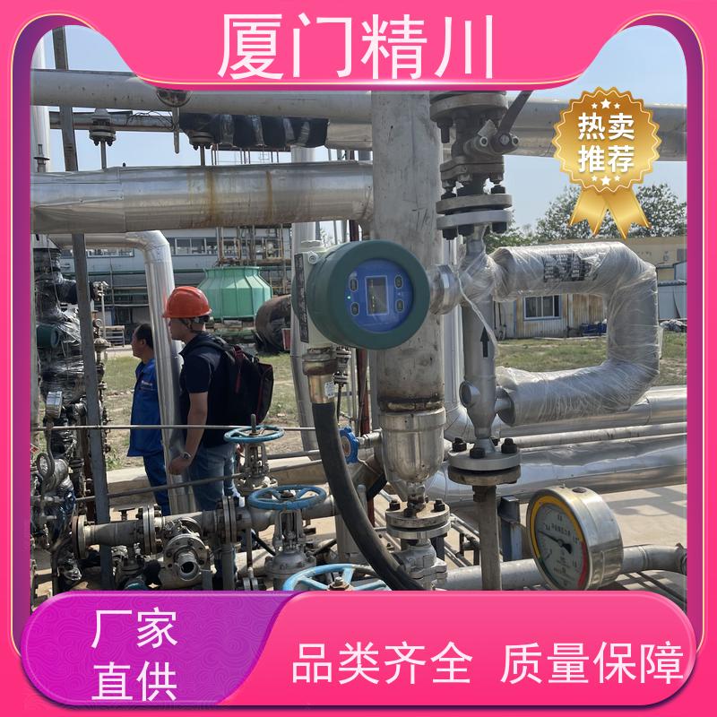 精川股份 半导体科氏力质量流量计 精度0.2级 有保障