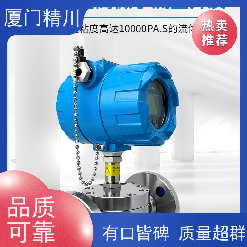 精川 化学药剂 防腐型齿轮流量计 可测液体1L/H 坚守品质