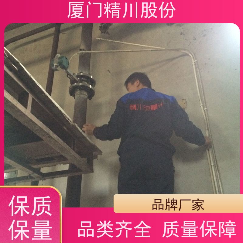 精川股份 橡胶厂 过热蒸汽流量计 工作时间长 真实应用案例多