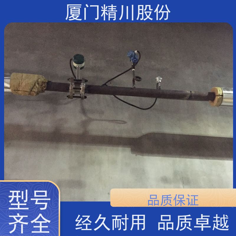 精川股份 电镀厂 蒸汽涡街流量计 工作时间长 应用广泛