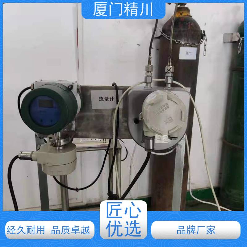 精川股份 设备配套气体质量流量计 精度0.2级 更耐用
