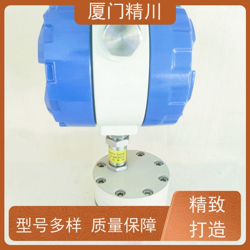 精川股份 AB胶 微小型圆齿轮流量计 可测液体1L/H 只为您好用