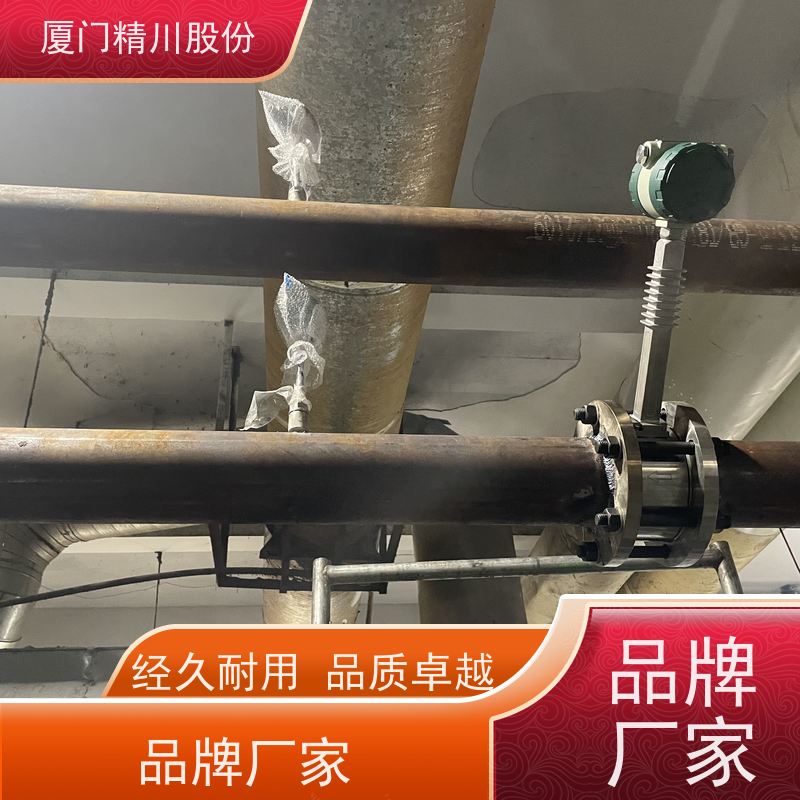 精川股份 PU皮革厂 导热油炉流量计 耐高温400度 免费选型