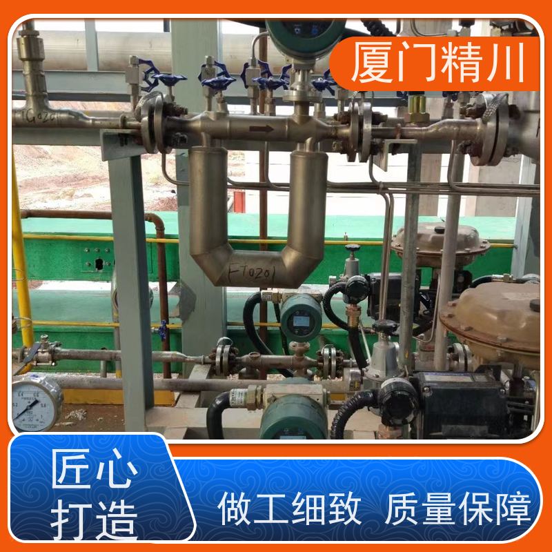 精川 食品厂液体质量流量计 连接方式支持定制 省心