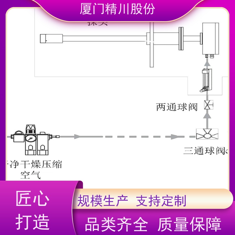 精川股份 电容法 数显温湿度仪 可定制耐温400度 生产多年