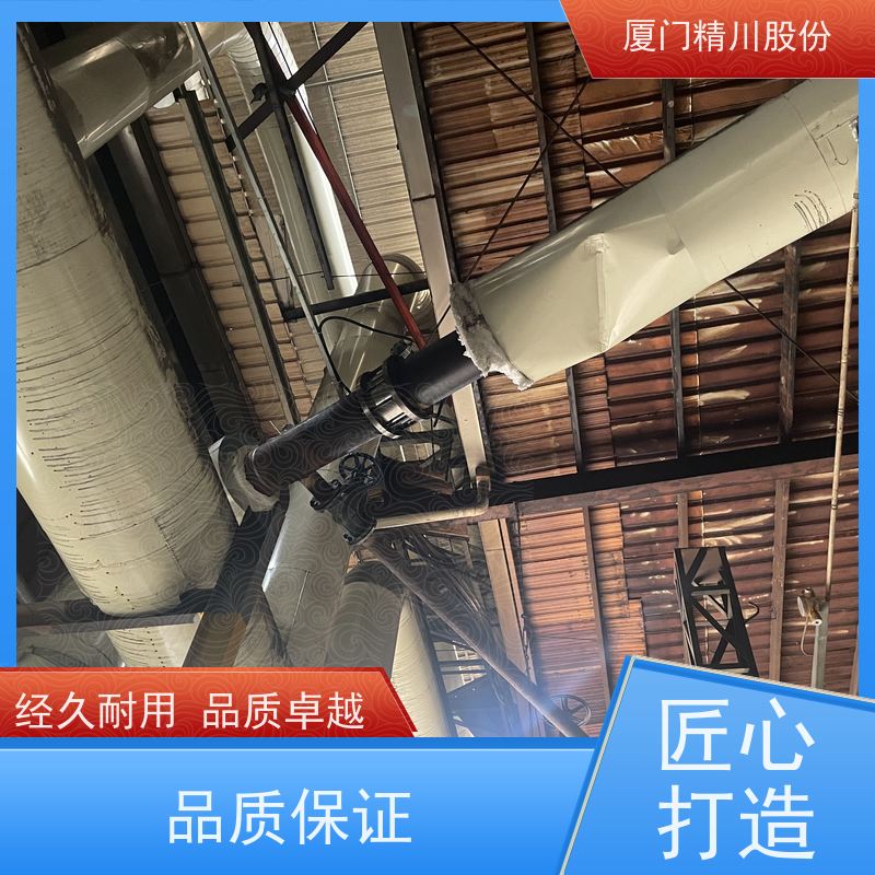 精川股份 橡胶厂 导热油流量计 自动计算能量 品质可靠