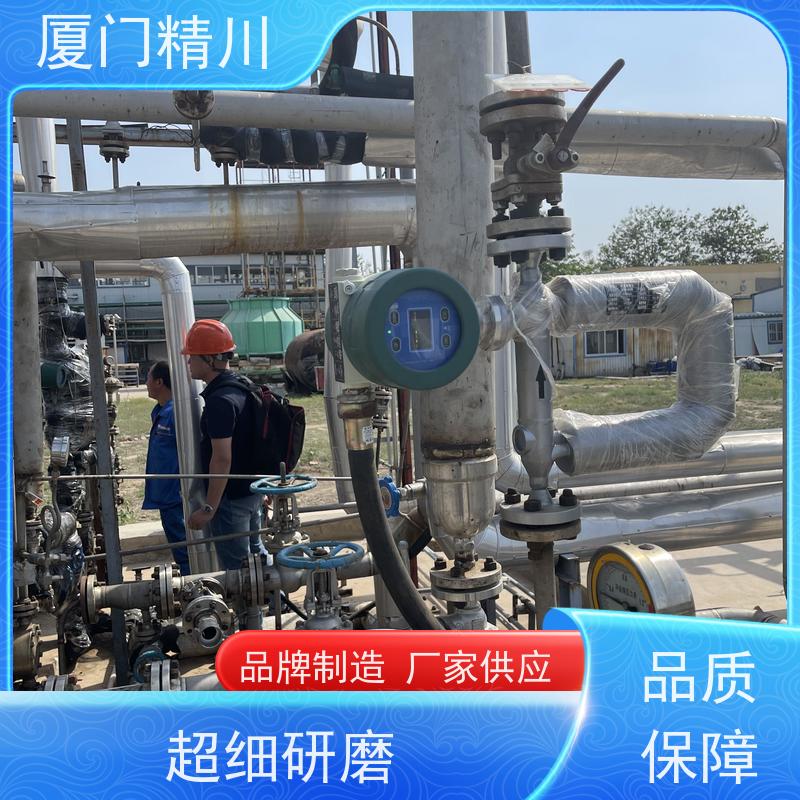精川股份 制药设备U型质量流量计 支持定制 有保障