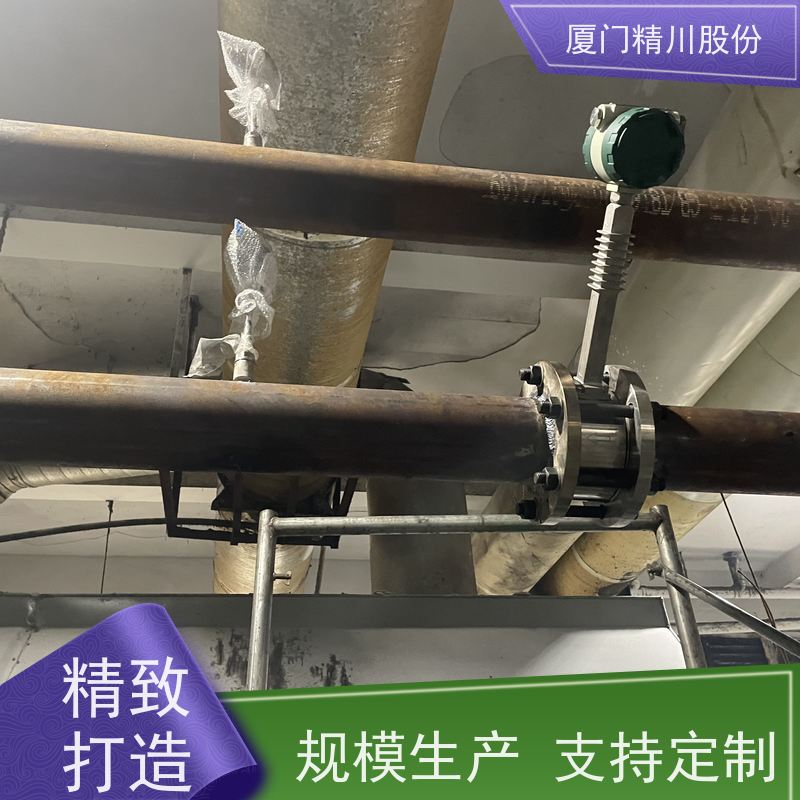 精川股份 印染厂 导热油热能表 自动计算能量 品质可靠