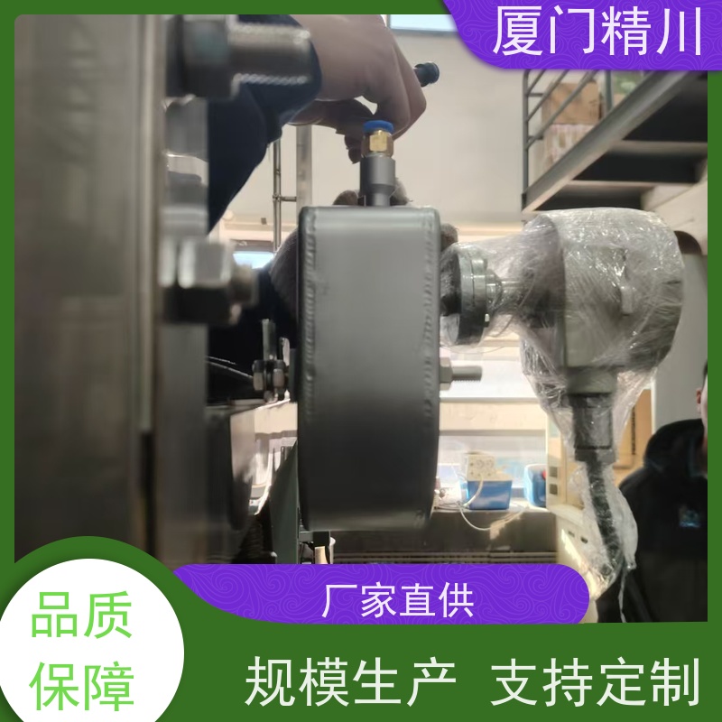 精川 食品厂小口径质量流量计 连接方式支持定制 更放心