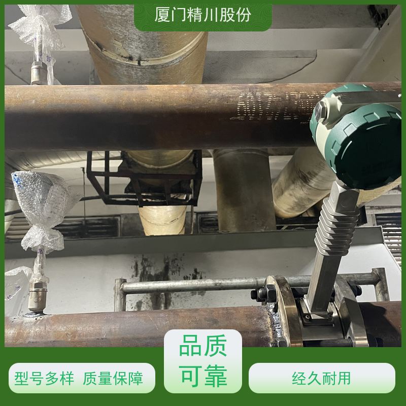 精川股份 制革厂 导热油热量表 耐高温400度 经久耐用