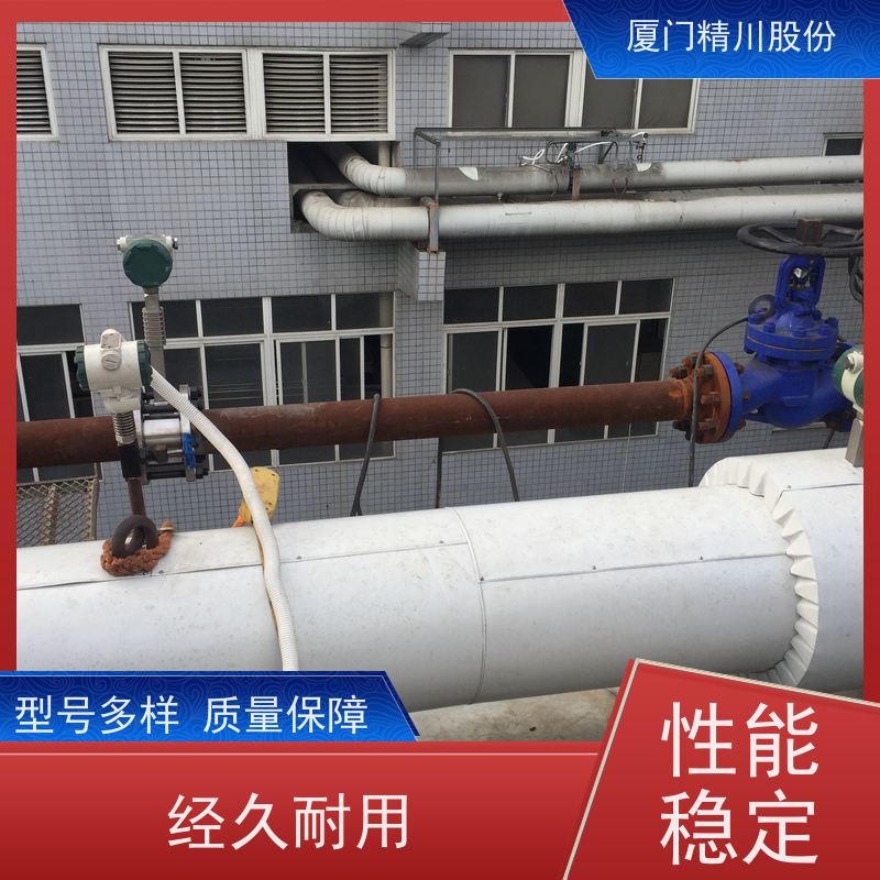 精川股份 PU皮革厂 涡街蒸汽流量计 可耐温350度 真实应用案例多