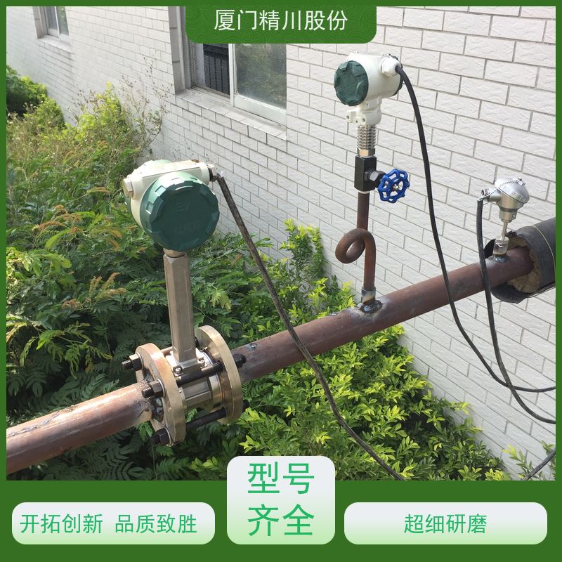 精川股份 人造革厂 液体涡街流量计 分体式温压补偿 支持免费选型