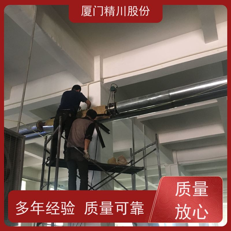 精川股份 合成革厂 导热油炉流量计 耐高温400度 品质可靠