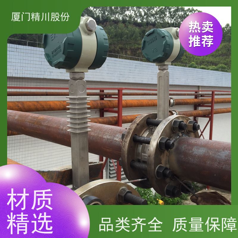 精川股份 皮革厂 导热油流量计 精度高 安装简单