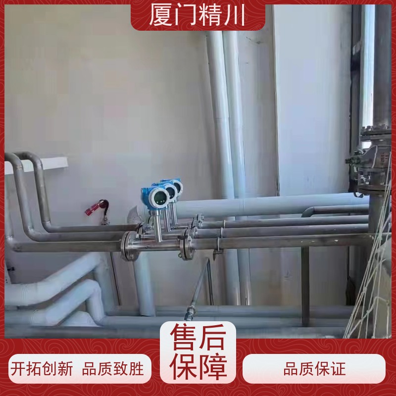 精川股份 发生炉煤气 保温夹套靶式流量计 可测含粉尘介质 免费选型