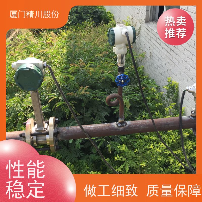 精川股份 橡胶厂 压缩空气流量计 可耐温350度 服务量少