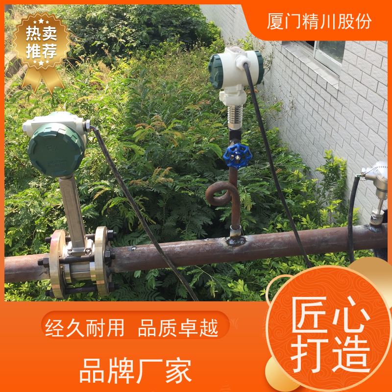 精川股份 食品厂 空气涡街流量计 工作时间长 真实应用案例多