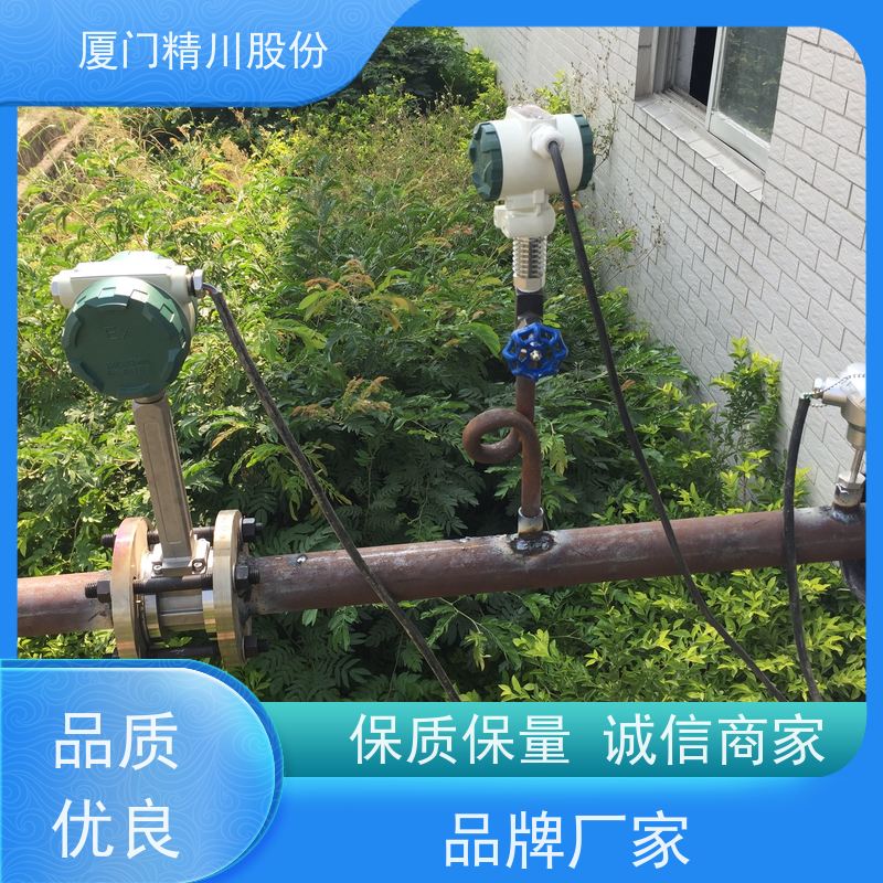 精川股份 食品厂 液体涡街流量计 一体式温压补偿 源头生产厂家