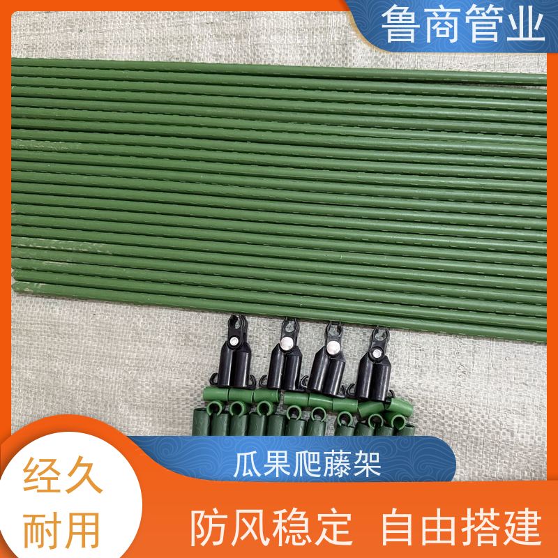 园艺支架管 户外种植用 自由搭建 批发定制 铁线莲爬藤架