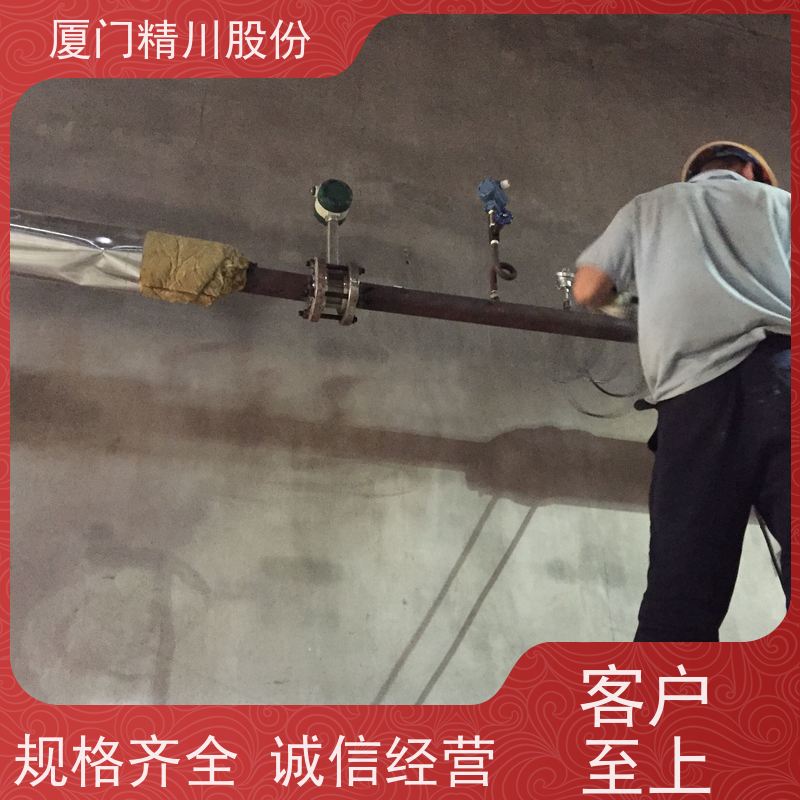 精川股份 饲料厂 压缩空气流量计 分体式温压补偿 服务量少