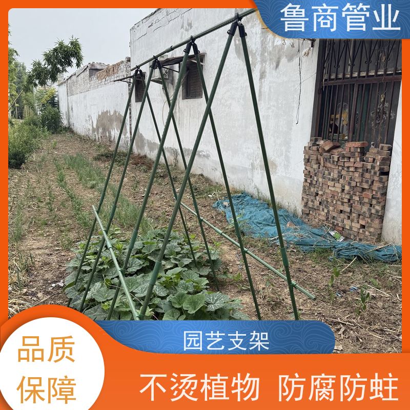 园艺支架 葡萄架黄瓜架 一件代发 户外种植用 自由搭建
