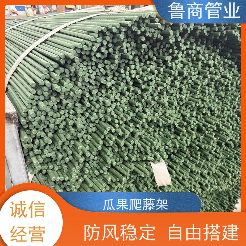 包塑支杆 塑料爬藤架 批发定制 楼顶搭棚用 自由搭建
