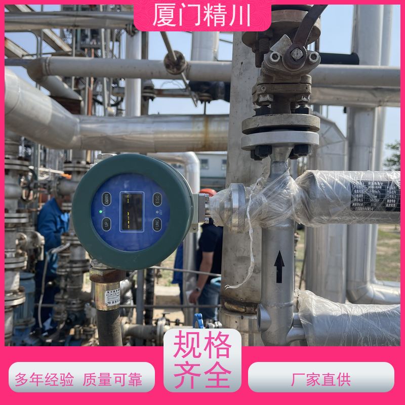 精川 制药设备小口径质量流量计 支持定制 省心