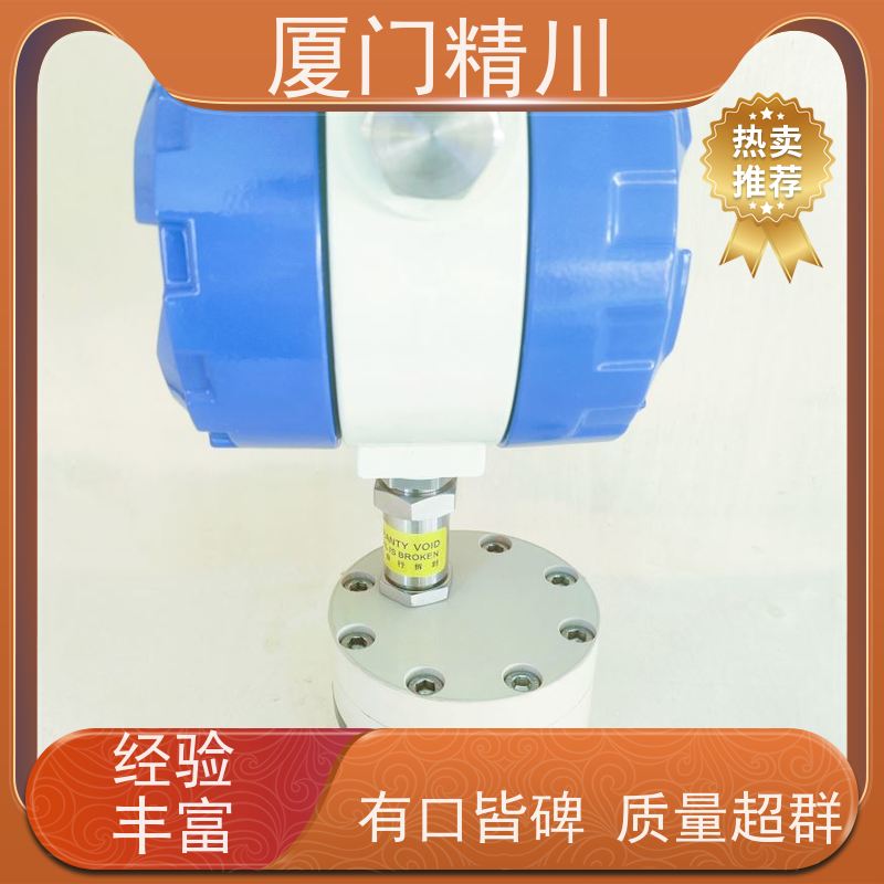 精川股份 AB胶 防腐型齿轮流量计 体积小 坚守品质