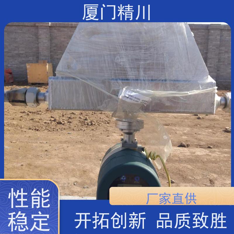 精川 大学实验室科里奥利质量流量计 支持定制 省心