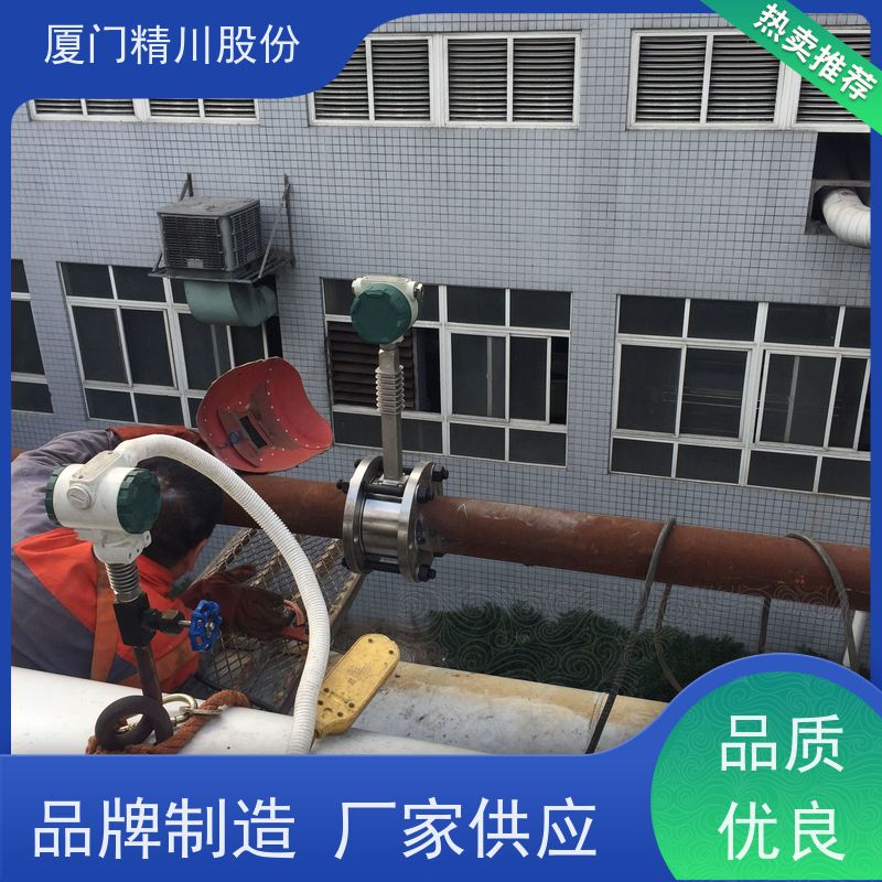精川股份 橡胶厂 过热蒸汽流量计 抗震性能好 应用广泛