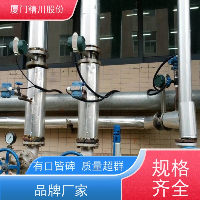 精川股份 皮革厂 饱和蒸汽流量计 分体式温压补偿 支持免费选型