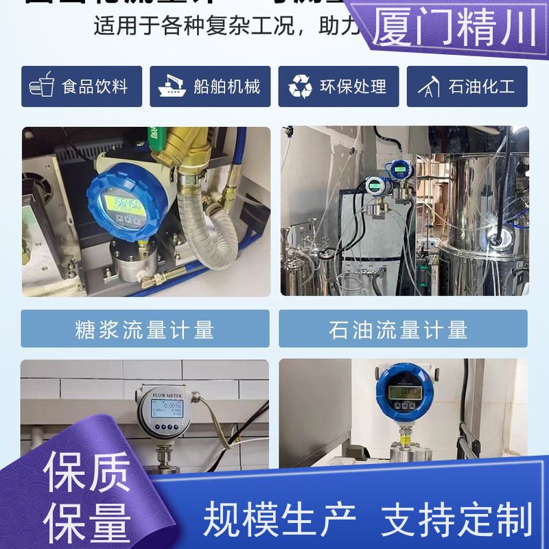 精川 化学药剂 不锈钢齿轮流量计 可测液体1L/H 只为您好用