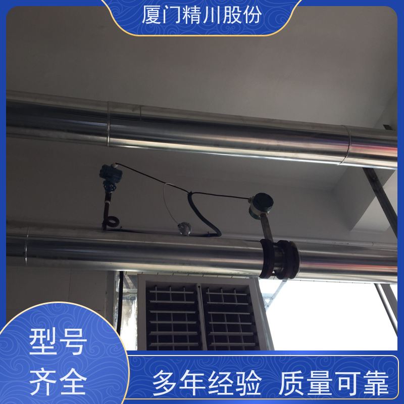 精川股份 橡胶厂 过热蒸汽流量计 抗震性能好 真实应用案例多