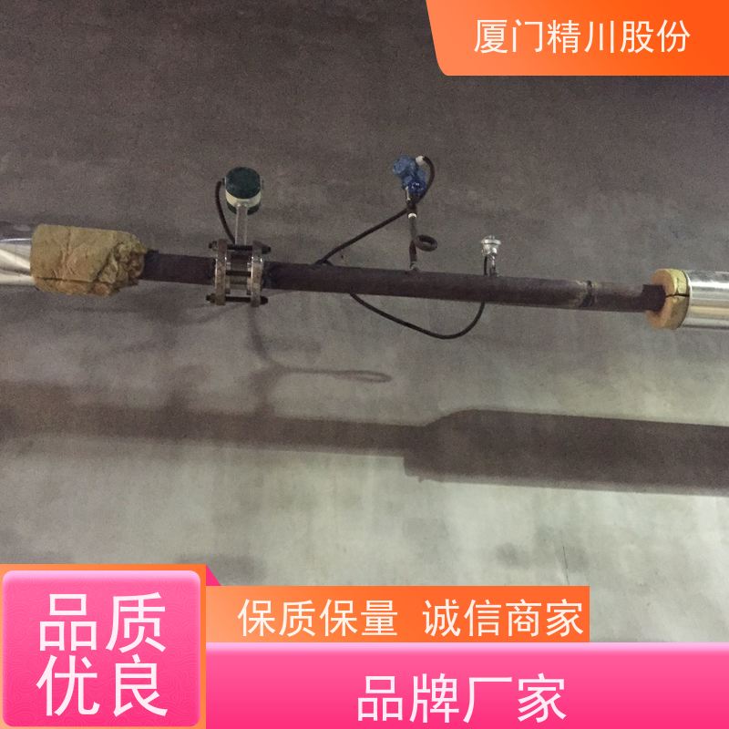 精川股份 食品厂 锅炉蒸汽流量计 一体式温压补偿 服务量少