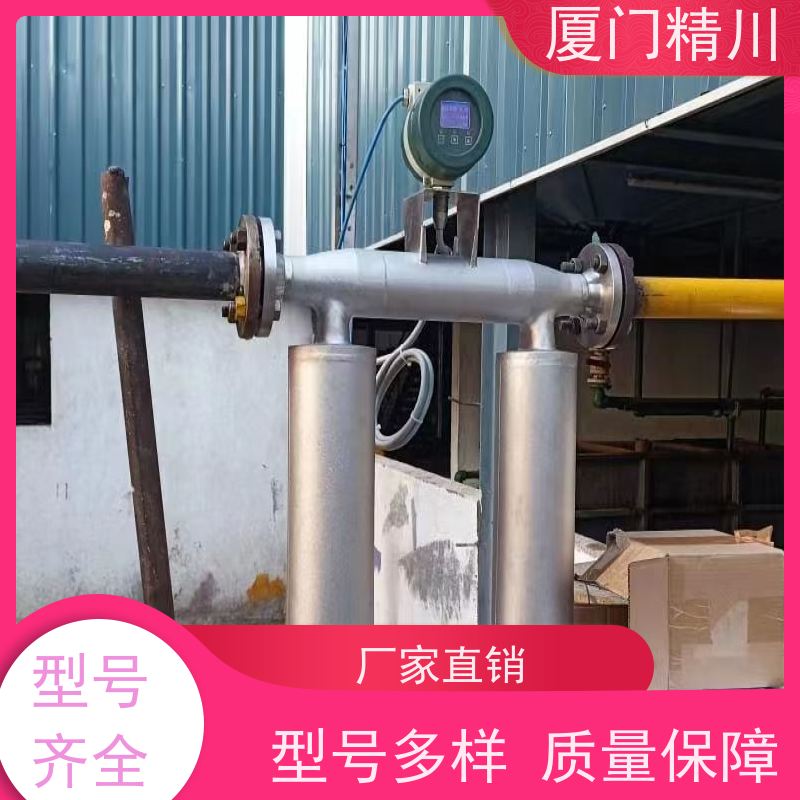 精川股份 大学实验室小口径质量流量计 连接方式支持定制 省心