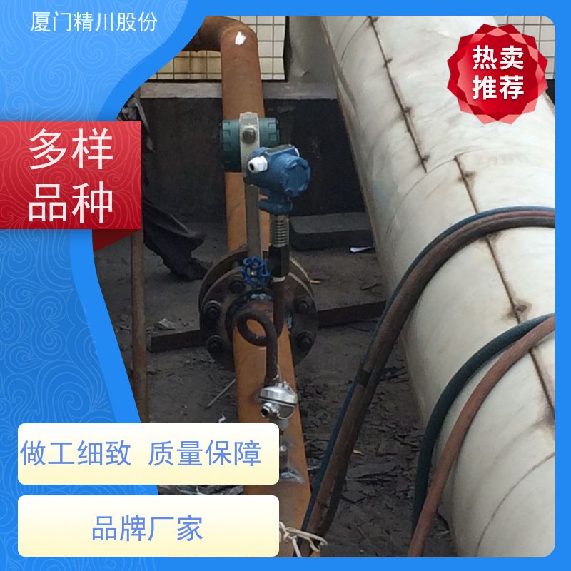 精川股份 饲料厂 压缩空气流量计 测量精度高 应用广泛