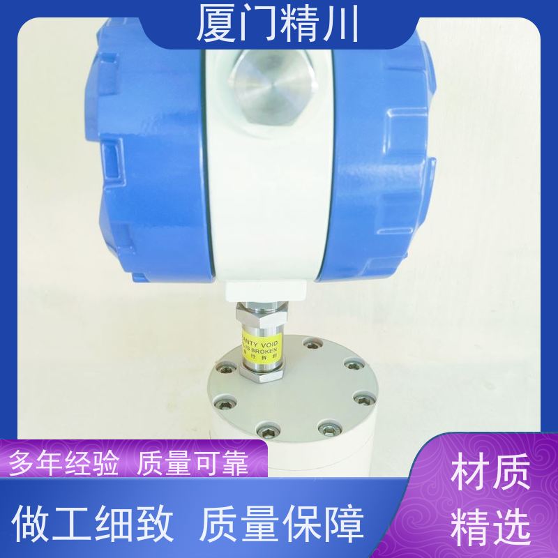 精川股份 化学药剂 防腐型齿轮流量计 体积小 保证品质