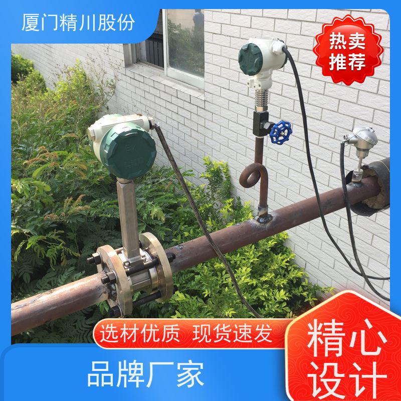 精川股份 印染厂 蒸汽流量计 分体式温压补偿 应用广泛