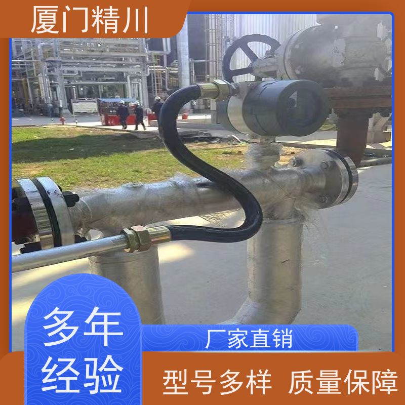 精川股份 锂电行业液体质量流量计 连接方式支持定制 省心