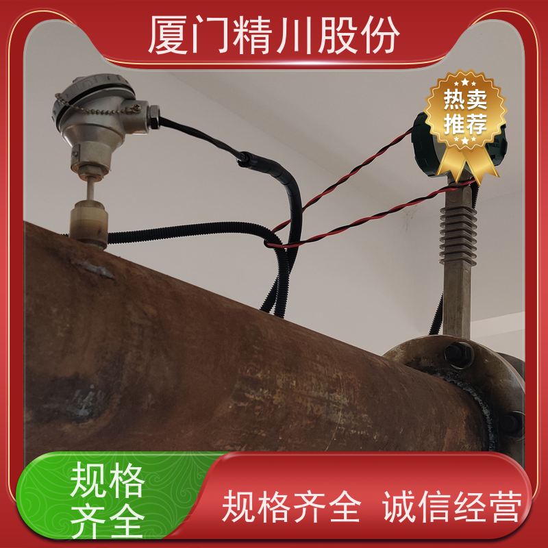 精川股份 PU皮革厂 导热油炉流量计 精度高 免费选型