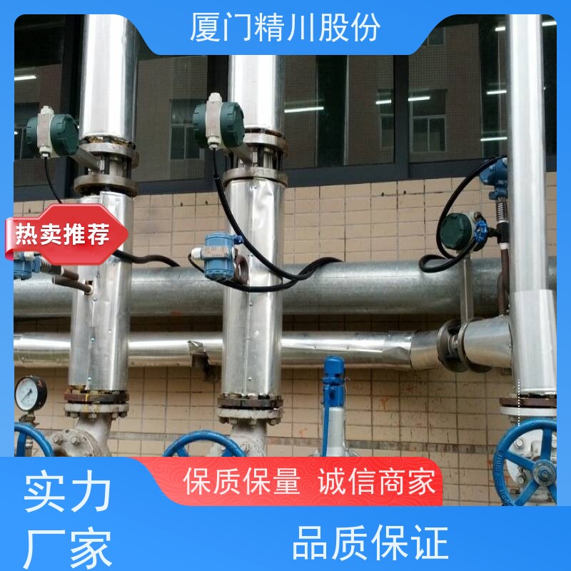 精川股份 染整厂 蒸汽流量计 分体式温压补偿 源头生产厂家