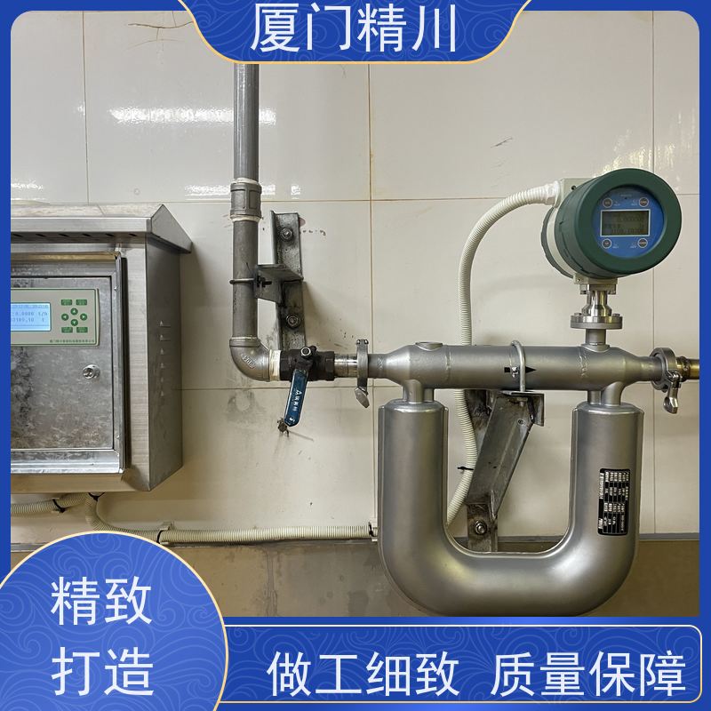 精川股份 锂电行业小口径质量流量计 支持定制 省心
