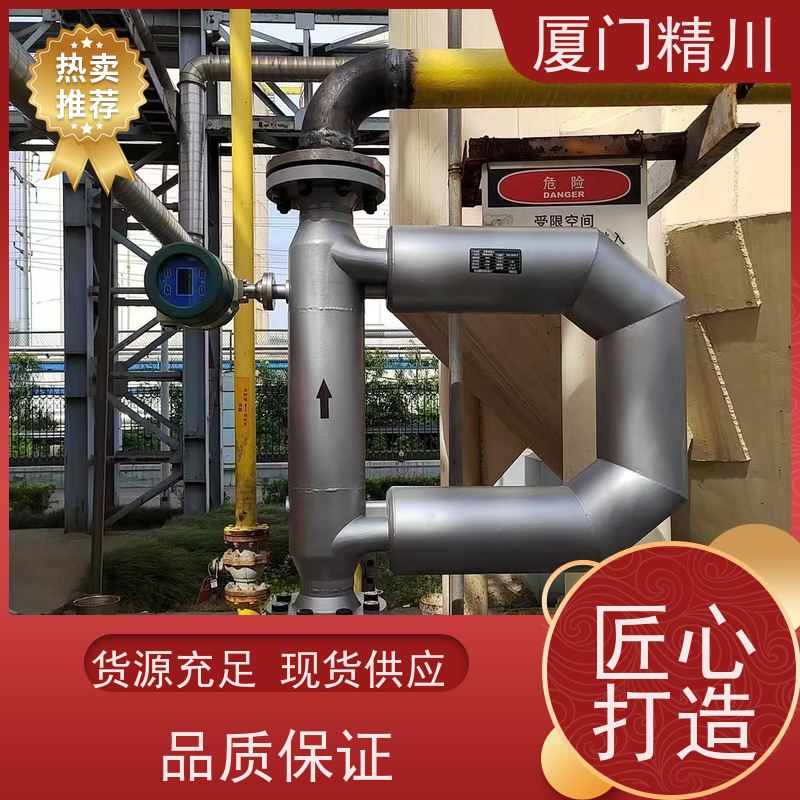 精川 设备配套科里奥利质量流量计 连接方式支持定制 更耐用