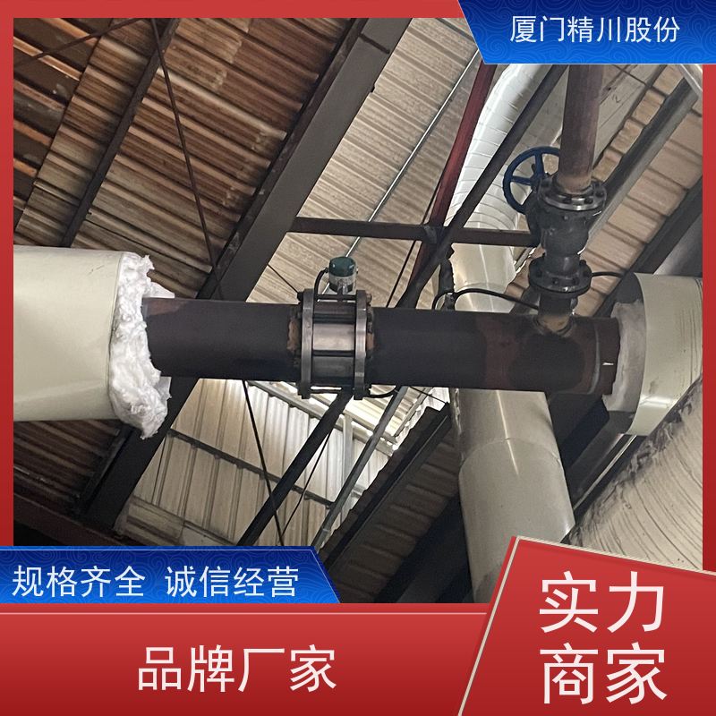 精川股份 鞋材厂 导热油炉流量计 精度高 免费选型