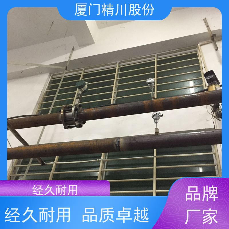精川股份 染整厂 导热油热能表 耐高温400度 经久耐用