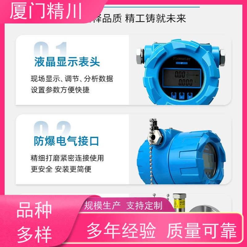 精川 聚氨酯 防腐型齿轮流量计 安装无需前后直管段 保证品质