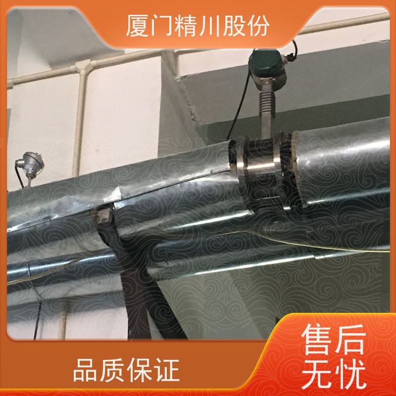 精川股份 PU皮革厂 导热油流量计 出厂都会设置好 免费选型