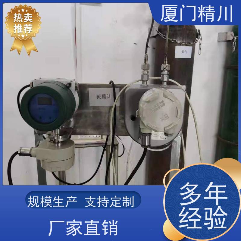 精川股份 锂电行业科氏力质量流量计 支持定制 更耐用