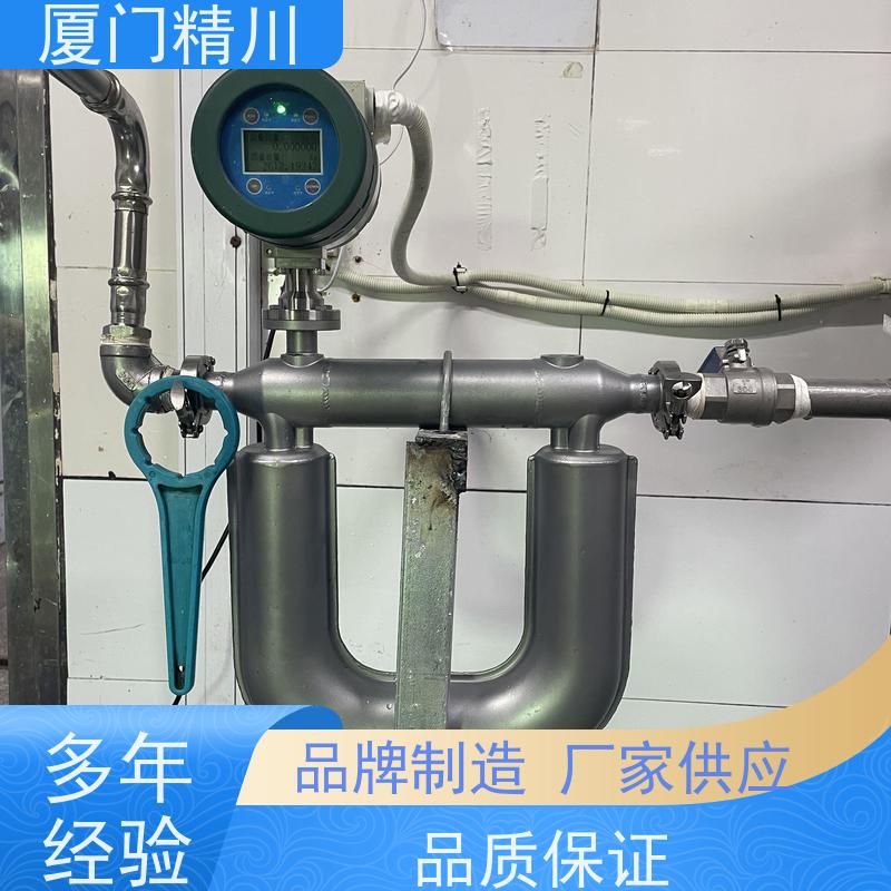 精川 食品厂小口径质量流量计 连接方式支持定制 有保障