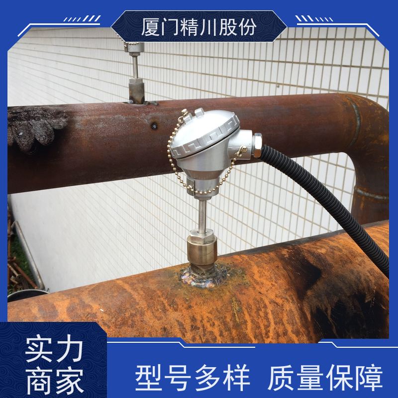 精川股份 印染厂 导热油热量表 精度高 品质可靠